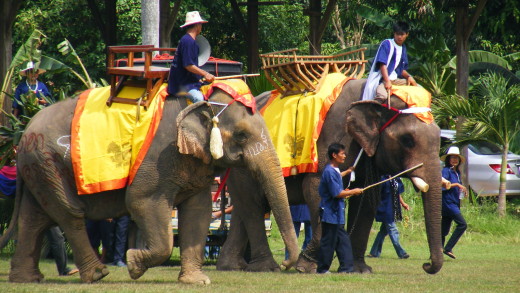 Парад слонов в северной провинции Таиланда