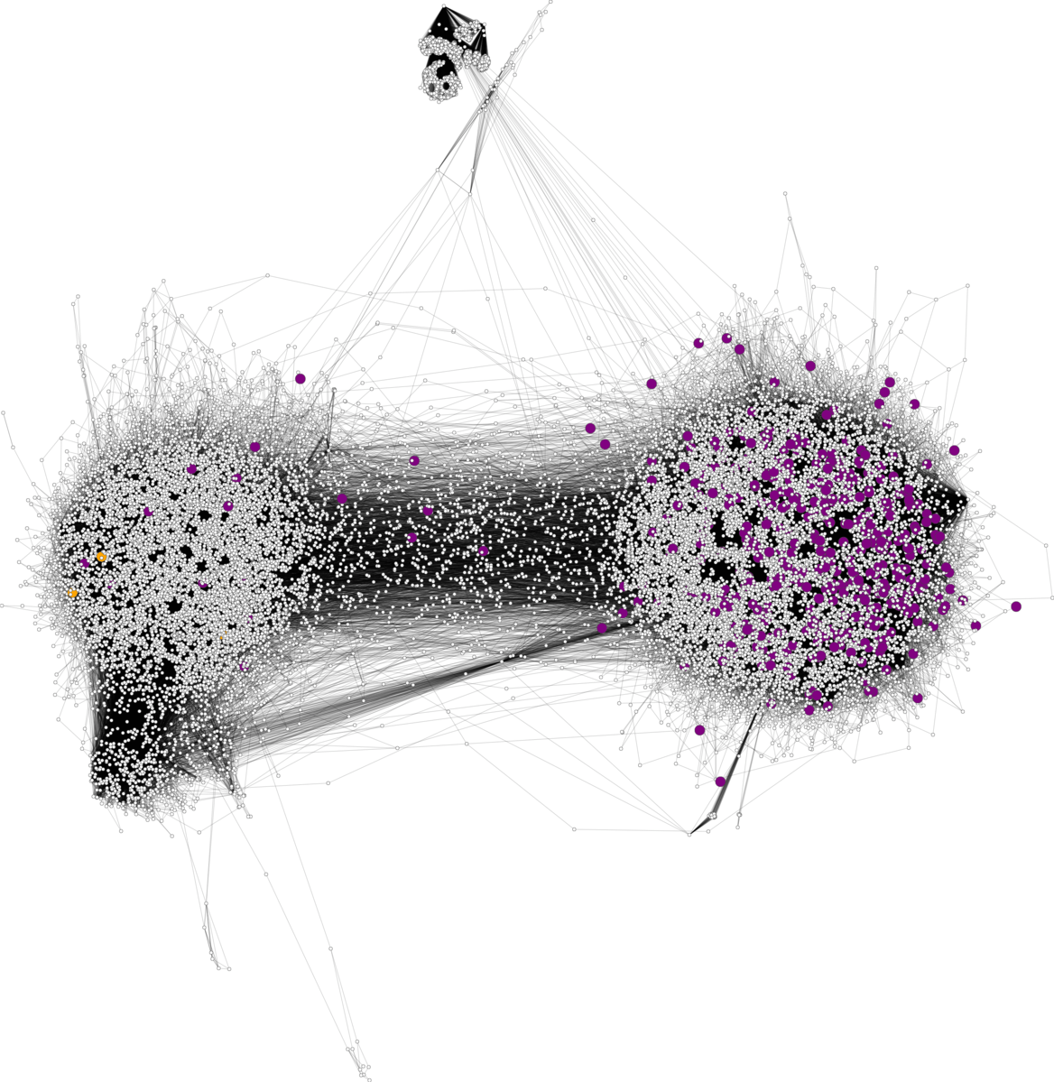 На этом графике эхо - камер в Twittersphere, фиолетовые точки представляют собой людей , распространив ложные утверждения о Truthy исследовательского проекта; два счета , которые стремились развенчать ложные сведения в оранжевый на крайнем левом. Джованни Лука Ciampaglia , CC BY-ND