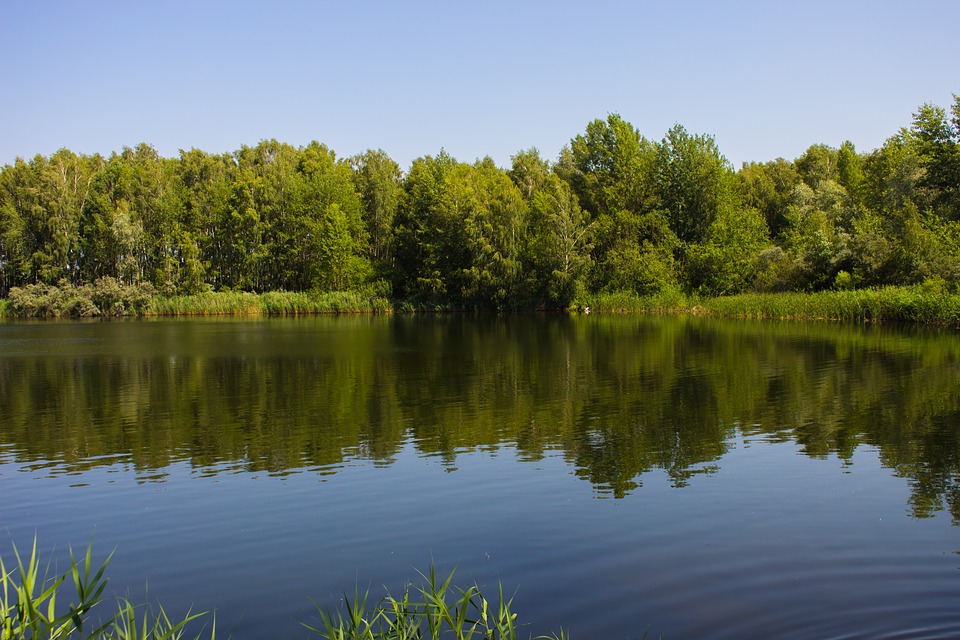 10 прчин посетить Беларусь озеро