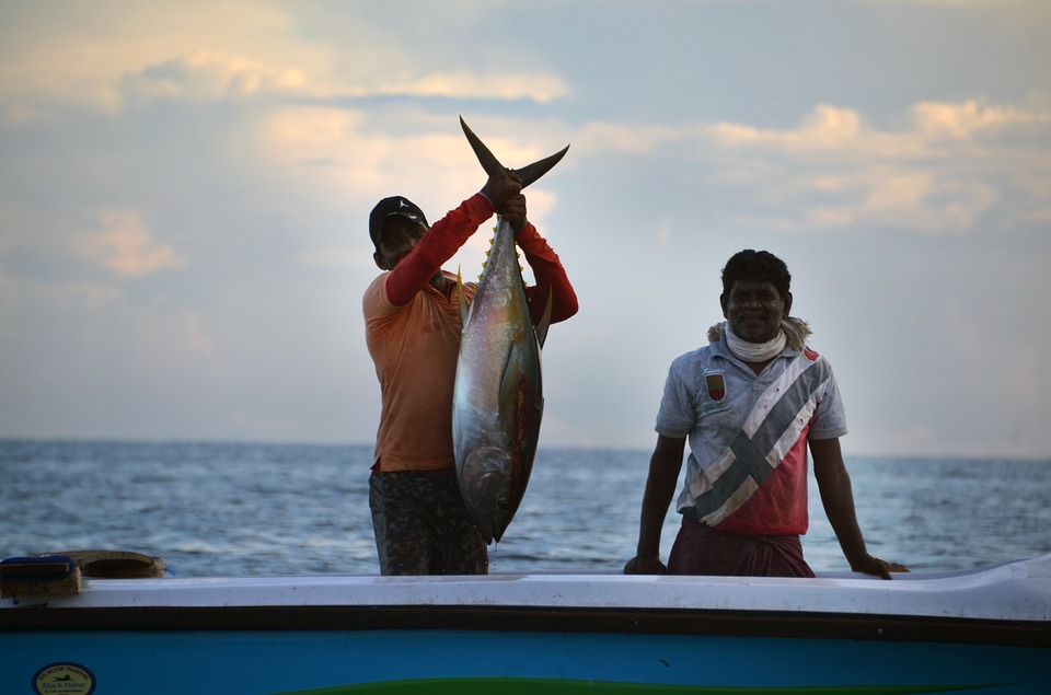 Шри-Ланка. Рыбалкаjpg